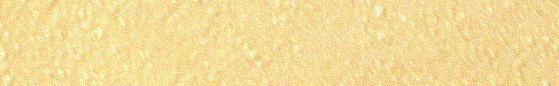 Angelus Metallic Gold Paint